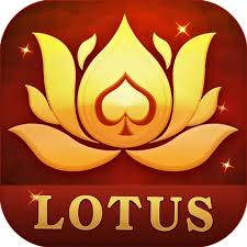 karnataka ban rummy download